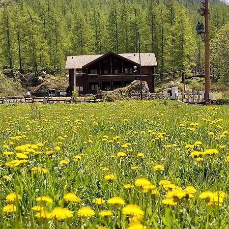 Chalet Rosa Dei Monti Piamprato Exterior foto