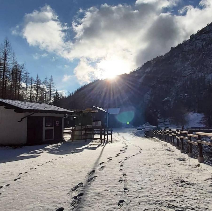 Chalet Rosa Dei Monti Piamprato Exterior foto