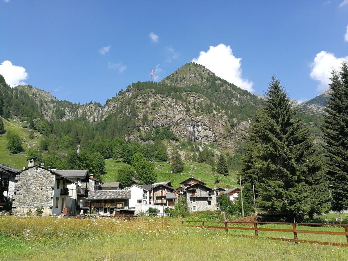 Chalet Rosa Dei Monti Piamprato Exterior foto